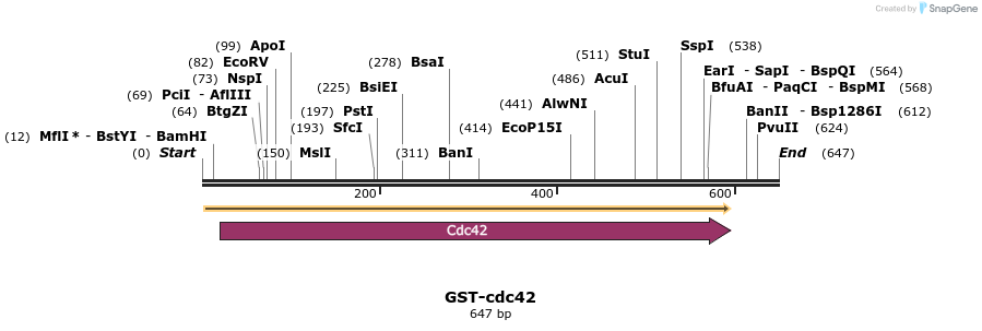 18736_map