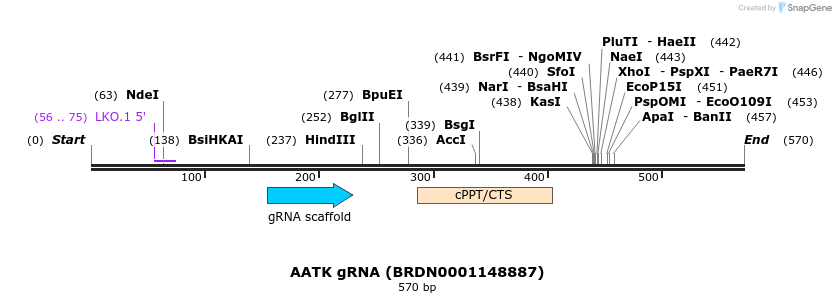 187519_map
