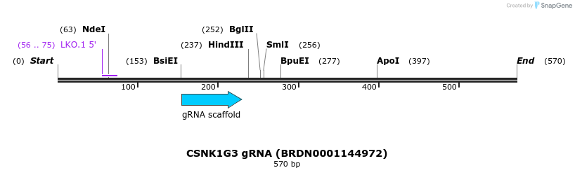 187617_map