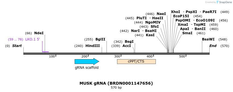 187889_map