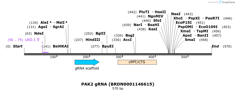 188015_map