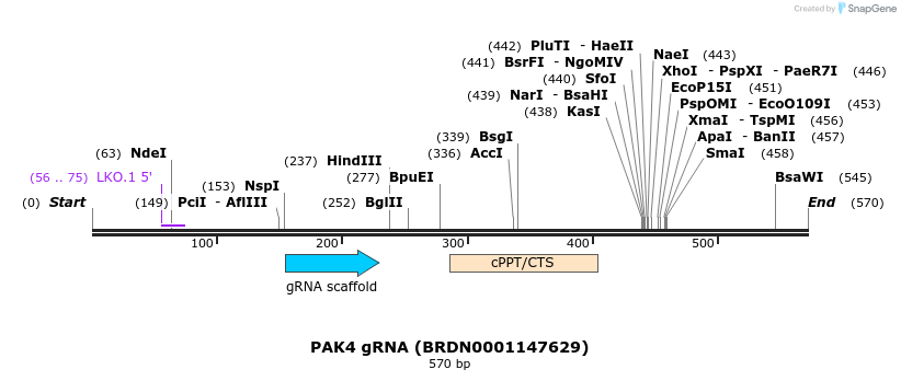 188023_map