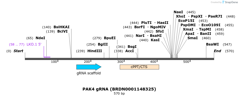 188029_map
