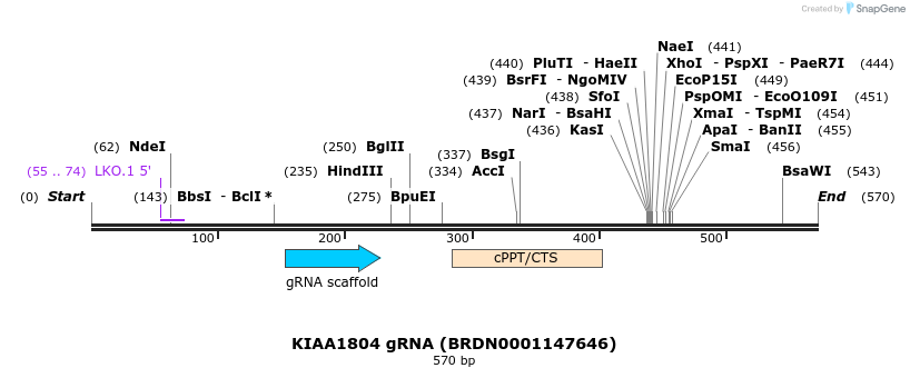188049_map