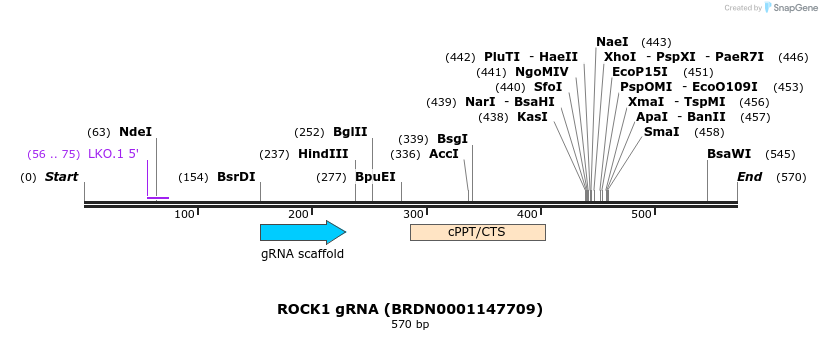188063_map