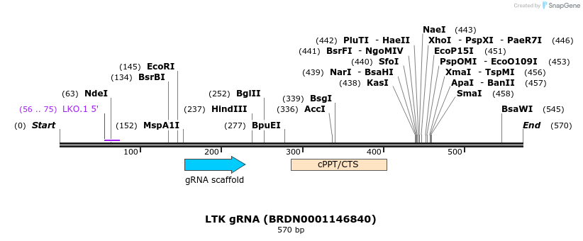 188075_map