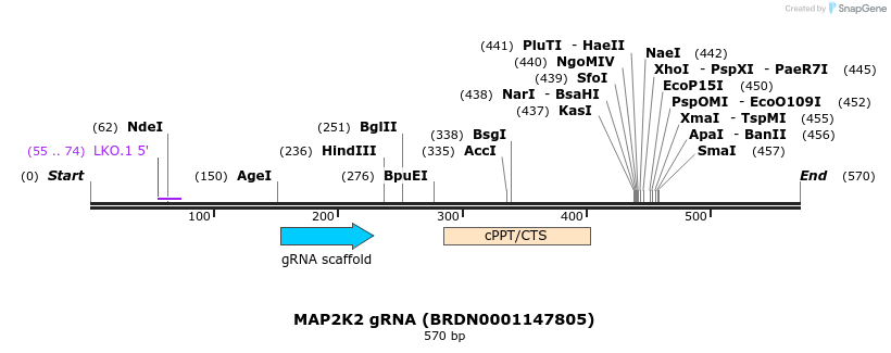 188077_map