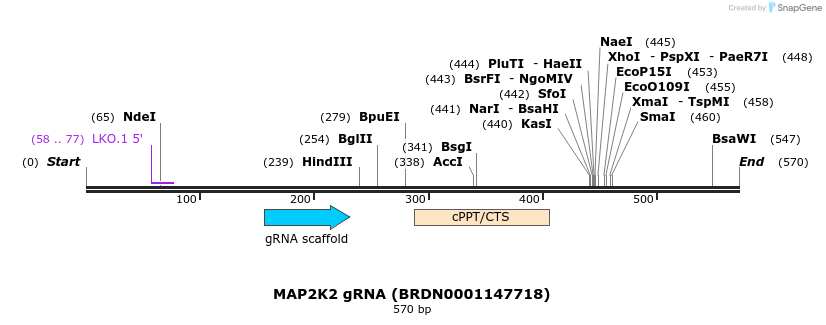 188079_map