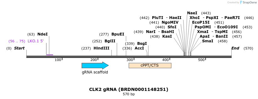 188089_map