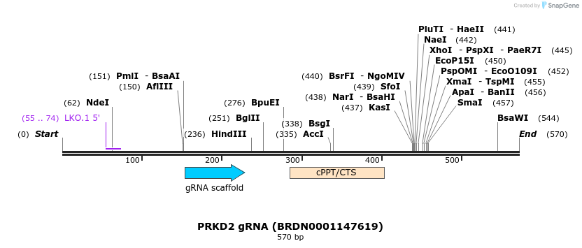 188105_map