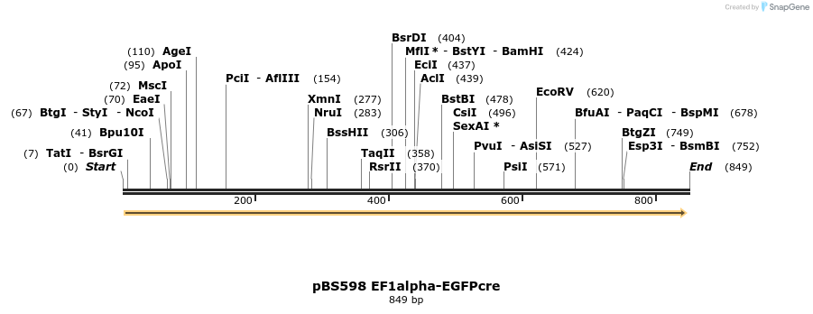 18812_map