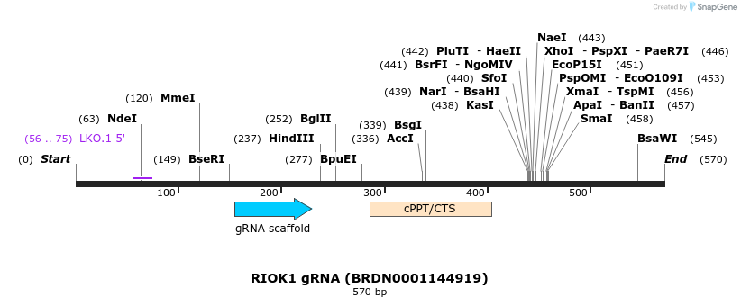188179_map