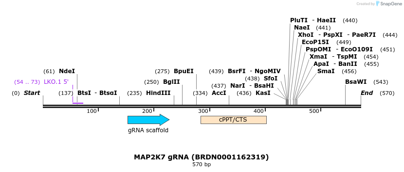 188473_map