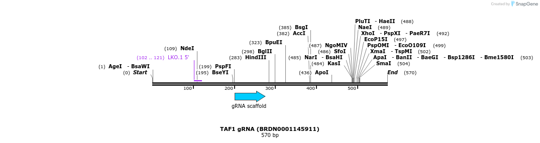 188557_map