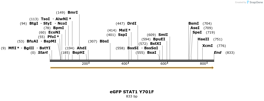 18866_map