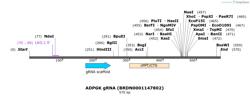 188805_map