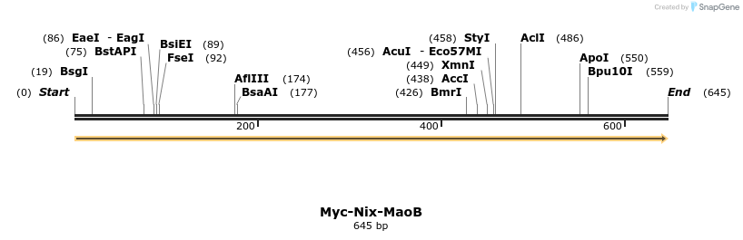 189449_map