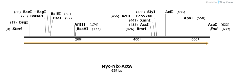 189450_map