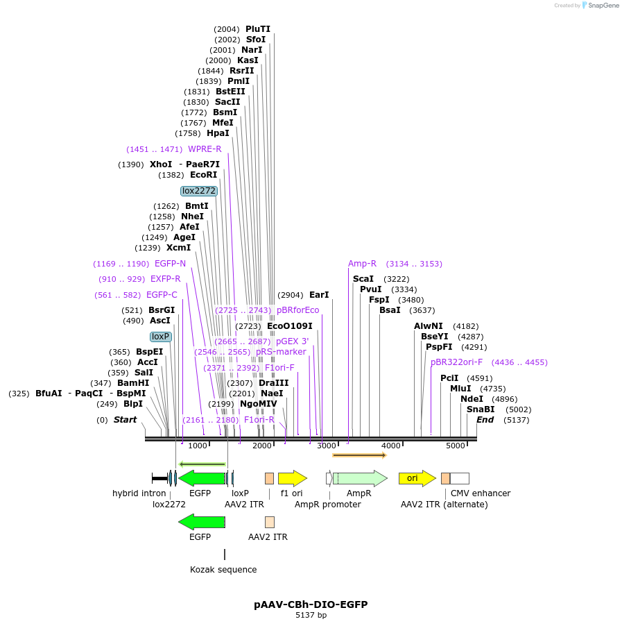 190020_map