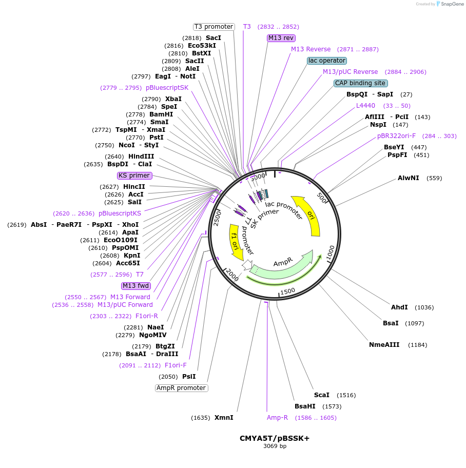 190022_map
