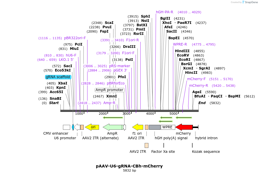 190023_map