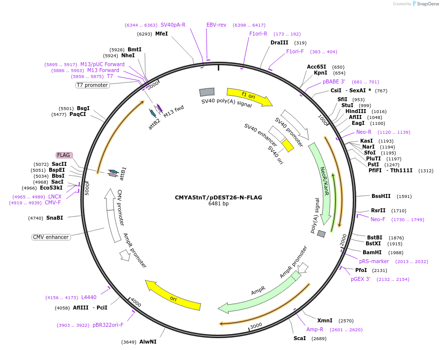 190024_map