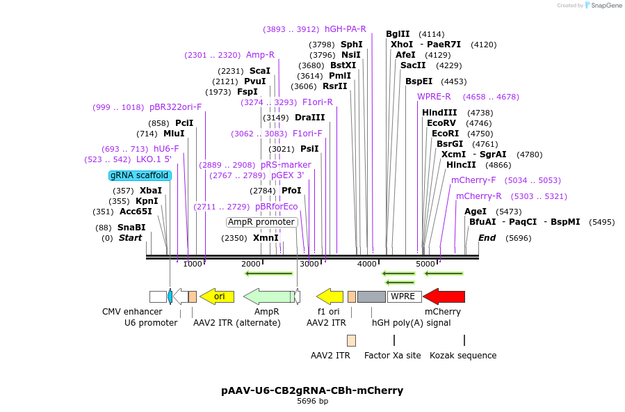 190025_map