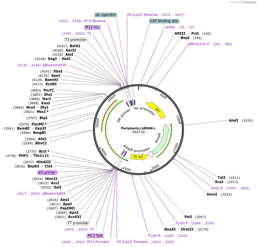 190026_map