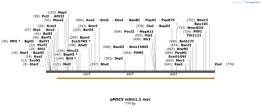 19009_map
