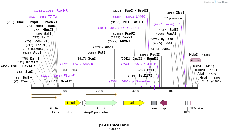 190119_map