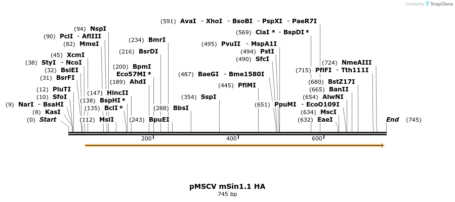 19014_map