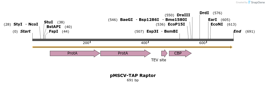 19017_map
