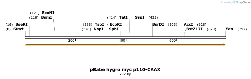 19021_map