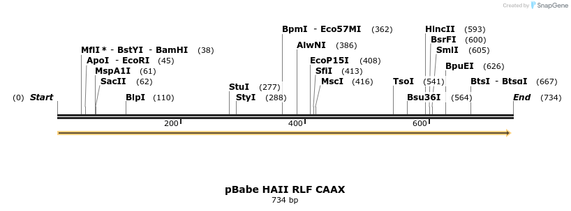 19022_map