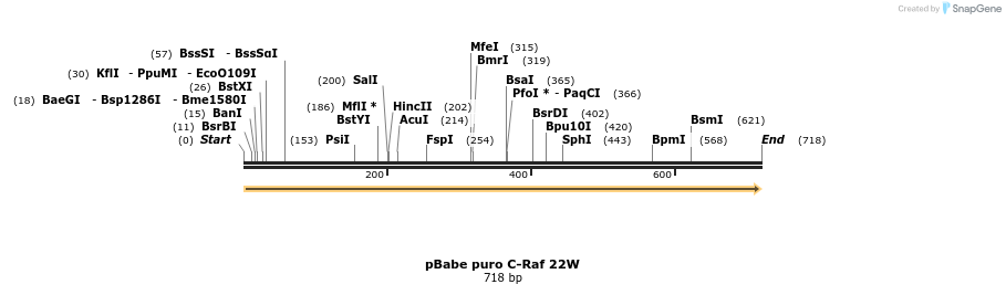 19023_map