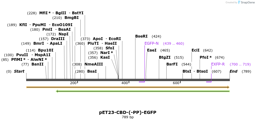 19024_map