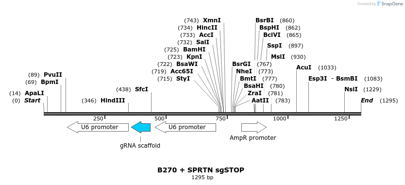 190282_map