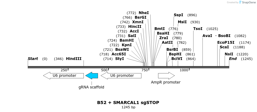 190289_map