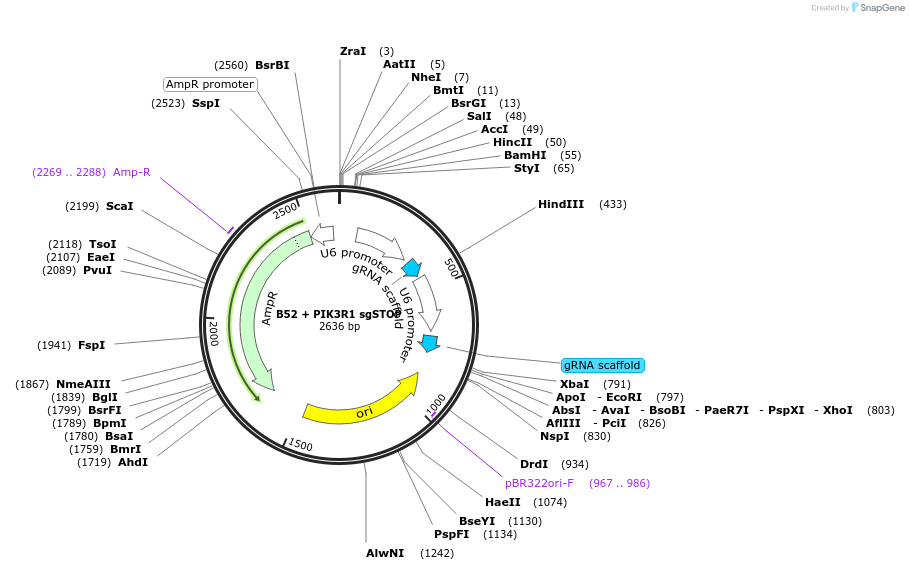 190290_map