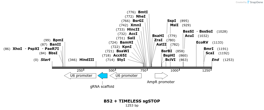 190293_map