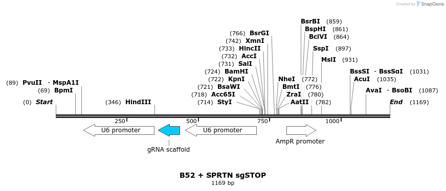 190302_map