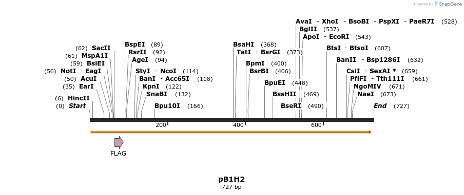 19035_map