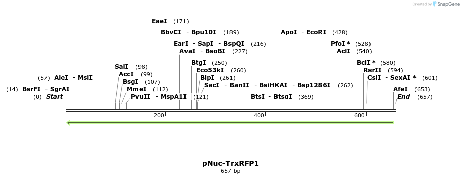190365_map