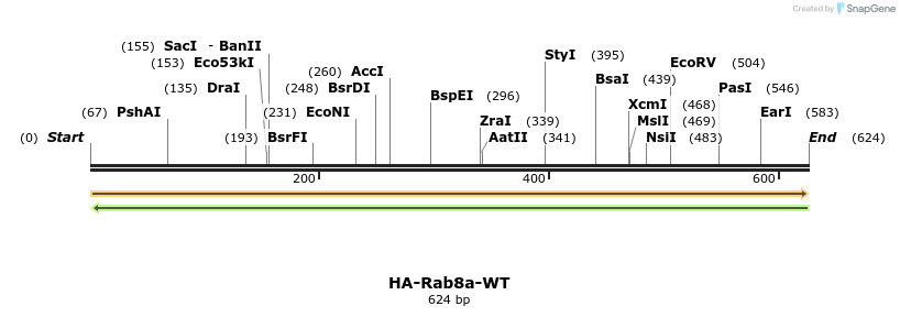 190386_map