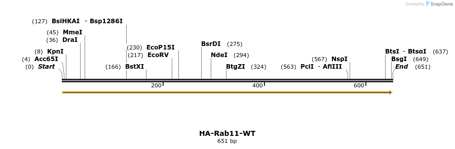 190388_map