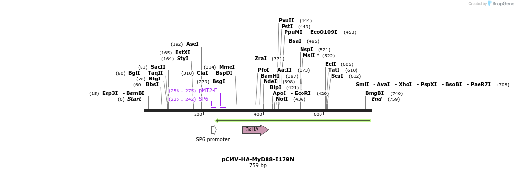 19045_map