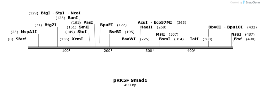 19046_map