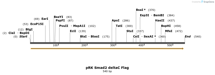19053_map