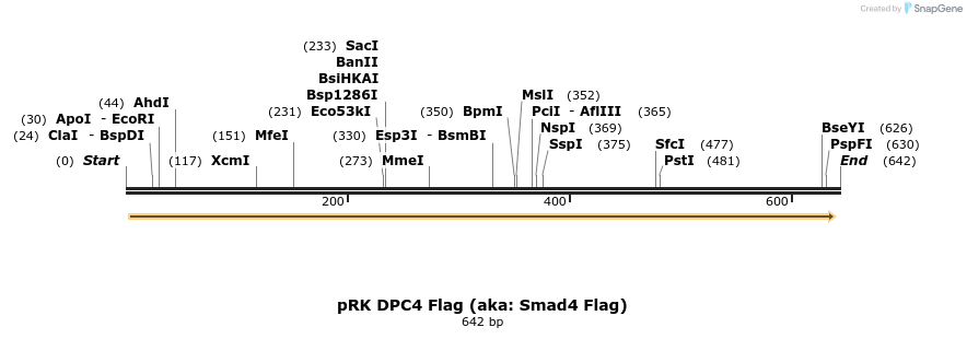 19056_map