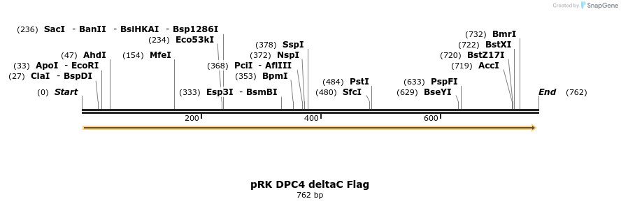 19057_map